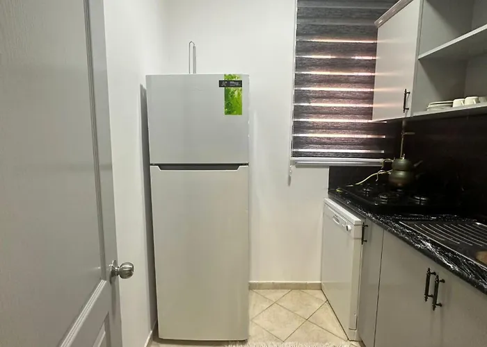 公寓式酒店 Ekinci Plaza 4*